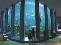 �y�G�[�XJTB�E�������s�z�É��c�A�[�E�É��̗��فE�z�e���\��@